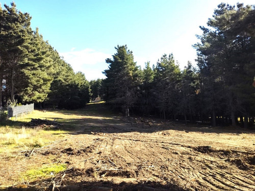 Lotes En Dihe Hue, En Venta, Dina Huapi, A 15 Km De Bariloche