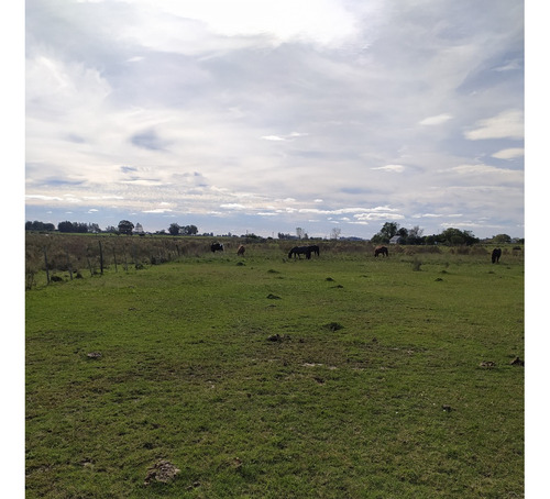 Vendo 15 Has Campo Plano, Aguada A 400 M De Ruta 33 Por Servidumbre De Paso, Alambrados
