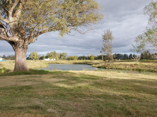 Departamento A Estrenar De 3 Amb Con Vista A La Laguna
