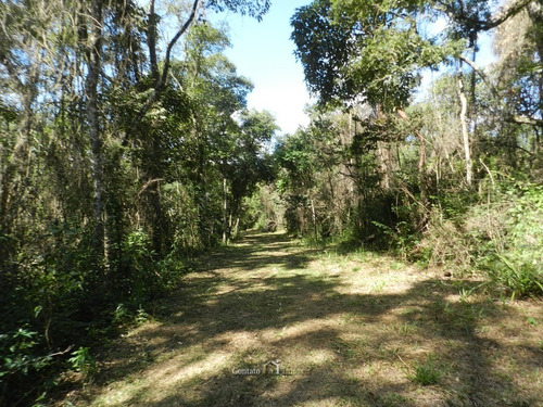Imagem 6 de 10 de Linda Área Rural À Venda Vista Panorâmica Atibaia - St0008-1