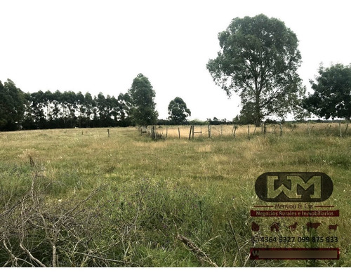 Venta Chacra Flores 1 Hectárea A 3 Km De Trinidad Flores