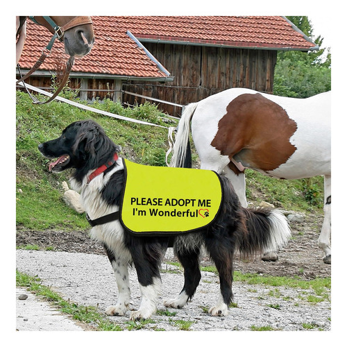 Chaleco De Chaqueta Para Perros De Adopción, Por Favor, Soy Amarillo