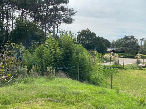 Imagen 10 de 17 de Hermoso Terreno En Golf, Punta Del Este - Punta Del Este Golf