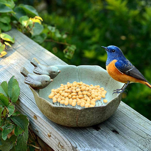 Bebedero De Jardín Con 2 Pájaros Decorativos, 1l