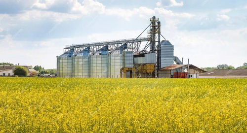 Venta Plantas De Acopio De Cereales Y Molinos Harineros En Provincia De Córdoba Y Santa Fe