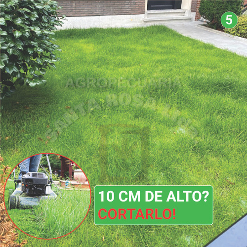 Cesped Manta Ecologica Con Semillas En Rollo 25 M2