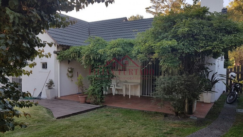 Casa En Venta Y Alquiler Con Piscina Y Amplia Barbacoa Punta Del Este - La Barra- Ref: 318