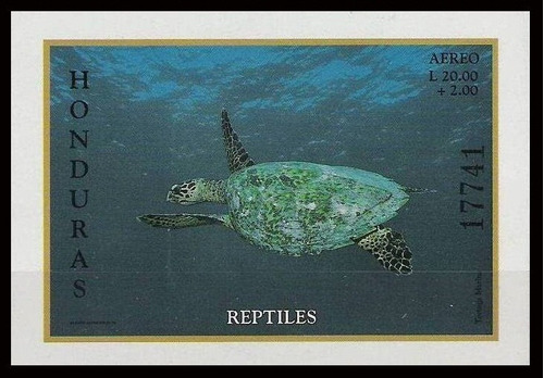 Fauna - Reptiles - Tortuga - Honduras - Hojita Block Mint