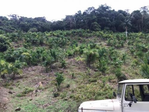 Sítio No Bairro Três Barras Em Itariri - Itanhaém 7384 A.c.m