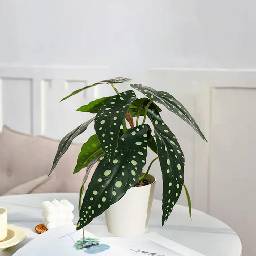 B Begonia Grandis Simulada En Maceta Seca Para Sala De Estar