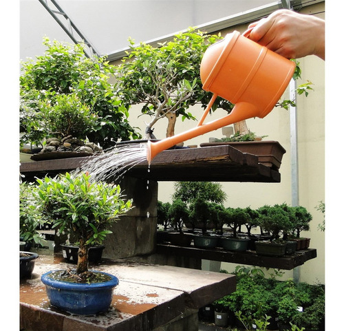 Regador De Plantas 1,5l Chuveirinho Removível P/ Jardinagem