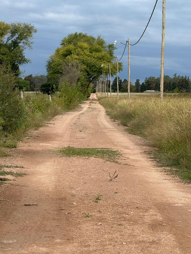 Lotes-chacras, Zarate, Buenos Aires