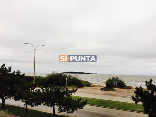 Imagen 2 de 12 de Apartamento En Playa Mansa Alquiler