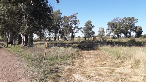 Imagen 13 de 13 de Excelente Lote 500 Mts Venta Mariano Acosta Merlo