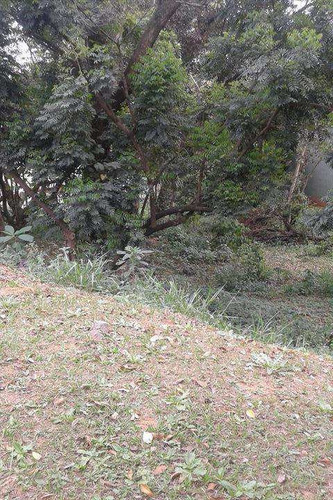 Imagem 2 de 3 de Terreno, Vila São Silvestre, Barueri - R$ 280 Mil, Cod: 46601 - V46601