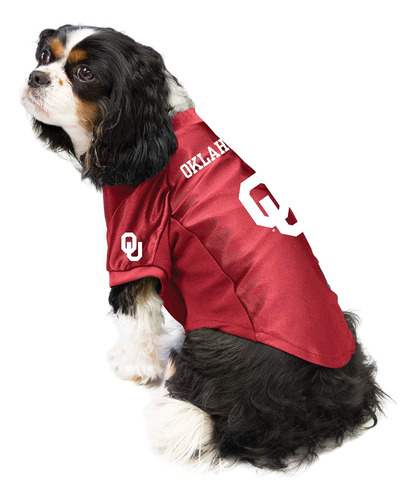 Jersey Elástico Ncaa Mascotas De Florida State Seminol...