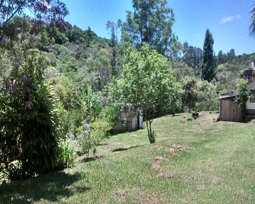 Imagem 23 de 23 de Sítio Rico Em Água, Paraíso Ecológico! - 156 - 32982609