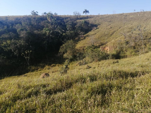 Imagem 3 de 11 de R17-terreno Com Vista Privilegiada