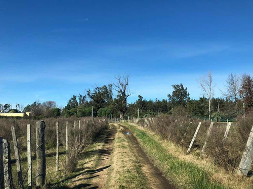 Oportunidad! Campo 7,93 Hectáreas En Camino De Los Ceibos