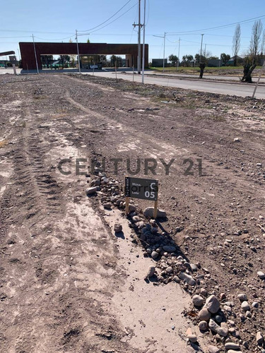 Imagen 6 de 7 de Lote En Venta - Lujan De Cuyo - Mendoza Id: 47231