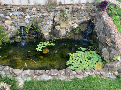 Imagem 5 de 15 de Chácara À Venda Em Terra Preta Com 2.589 M² - Ch147