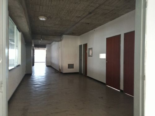 Alquiler Local Industrial Mas Mezzanina Doble Altura En Palo Verde En Piso Tg