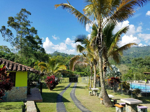 Imagen 19 de 20 de Vendo Hermosa Finca Camilo C Fredonia