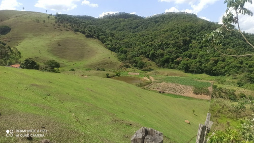G15 - Vendo Terreno Sem Burocracia