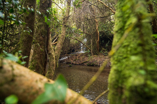 Terreno A Orillas Del Rio Maullín, 5min De Puerto Varas