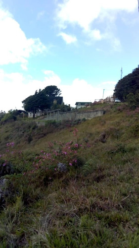 Imagen 1 de 7 de Venta De Terreno 1050m2 En El Junko