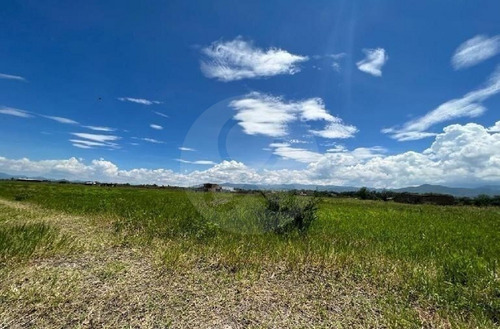 Terreno En Venta En Pinar De La Laguna 27 Atotonilco El Bajo Villa Corona