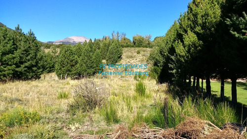Imagen 2 de 6 de Terreno Meliquina Mza P - San Martin De Los Andes