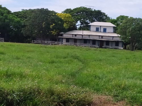 Imagen 2 de 20 de Hato En Edo. Guárico De Ganado Cebú En Venta