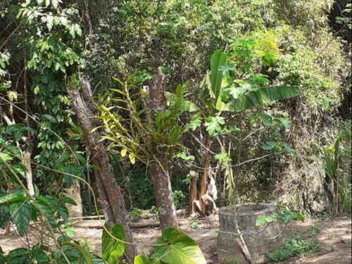 Chácara Rio Acima - V4019