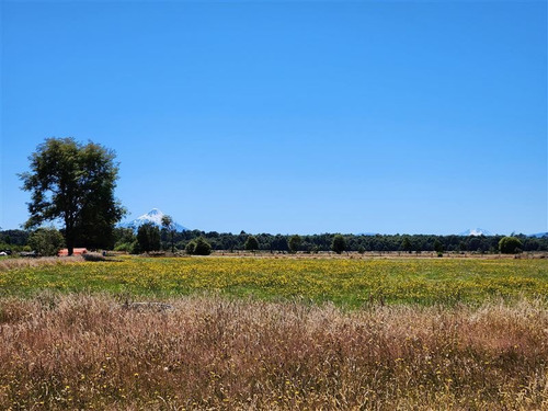 Imagen 1 de 12 de Campito En Venta En Puerto Varas
