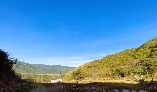 Imagen 4 de 4 de Venta De Terreno En Lozano