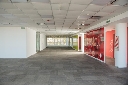 Imagen 21 de 30 de Oficinas En Alquiler Planta Libre, Vicente Lopez