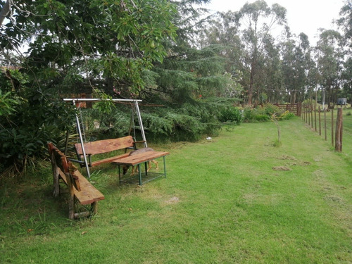 Chacra 1.5 Hás. A La Venta Ruta 8 Vieja Piedra Del Toro