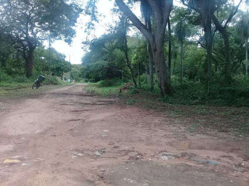 Imagen 4 de 6 de Vendo Hermoso Terreno En Zona Remanzo- Mno.roque Alonzo