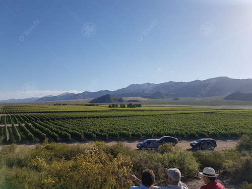 Finca De 23 Has En Venta En Mendoza - Viñedo Premium De Altura