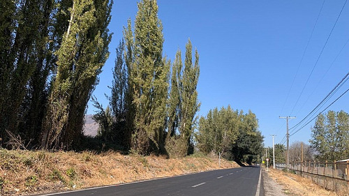 Arrienda, Paine, Terreno 2.500 M2, Colonia Kennedy