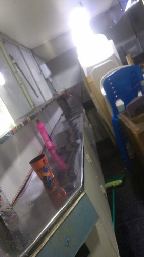 Food Truck