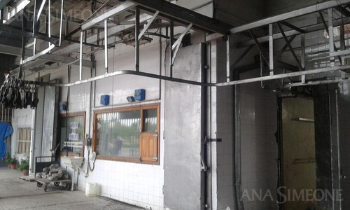 Imagen 6 de 10 de Local Para Frigorifico O Varias Utilidades En San Rafael- Mendoza