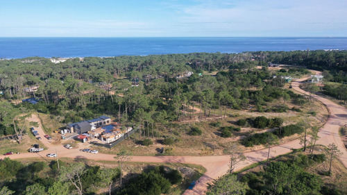 Terreno En Montoya