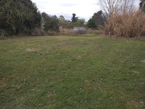Imagen 3 de 5 de Venta Terreno - Humboldt