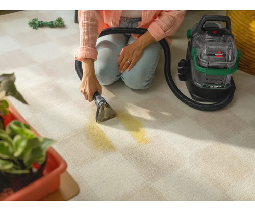 Hidroaspiradora Littlegreen Pet Pro Modelo 3908 Color Verde Verde Musgo (Reacondicionado)