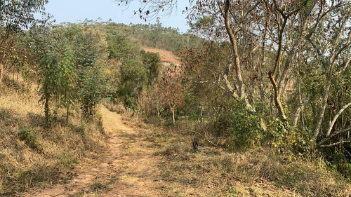 Imagem 3 de 14 de B1 Terreno Com Visão Ampla Para A Natureza Arvores Frutífera