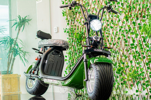 Imagem 8 de 11 de Scooter Eletrica Gloov 2000