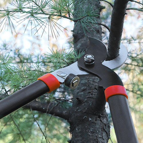 Tijeras De Podar Ramas Herramientas Manuales Tijeras Para