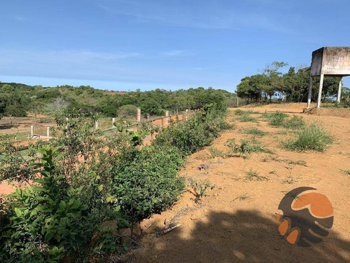 Chácara À Venda, 2000 M² - Jabuticaba - Guarapari/es - Ch0012